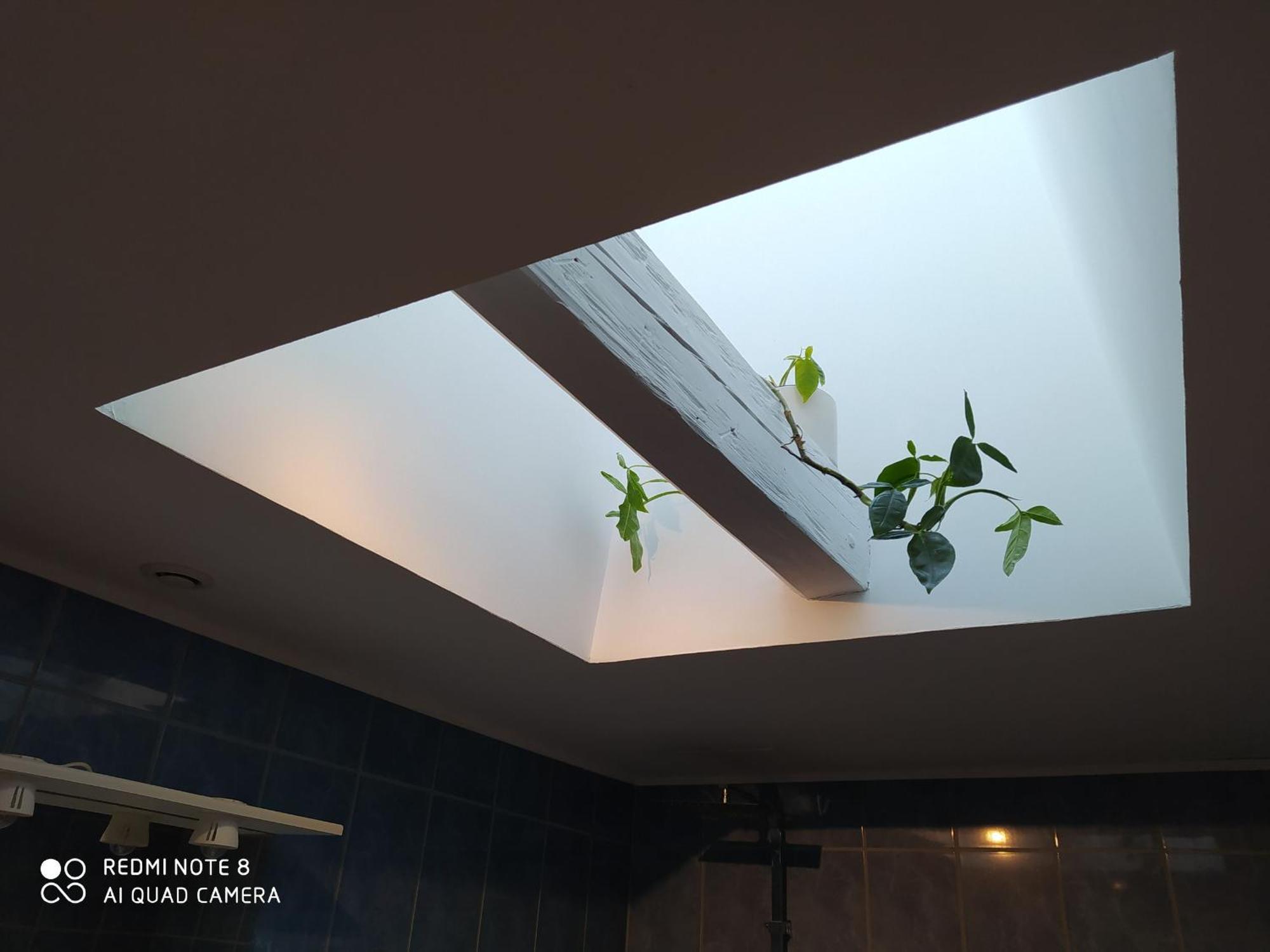 Gite Calme 4 Chambres, Terrasse Privative, Draps Inclus - Germonville - Fr-1-584-167 Dış mekan fotoğraf